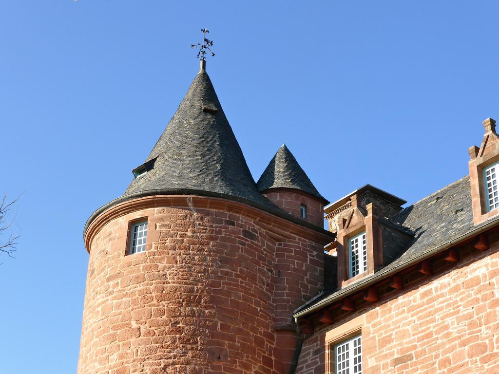 Chateau De Marsac Meyssac Exteriör bild